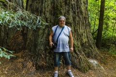 Photographer standing in front of Redwood tree