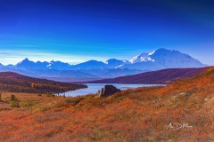 Blueberries overlook