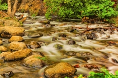 McHugh Creek
