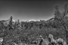 Mountain Black and White