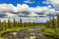 Brushkana Creek