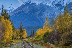 Alaska Railroad at Bird