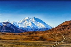 Denali and Stony Point