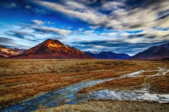 Toklat River, Denali National Park