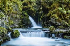 Virgin Creek Falls
