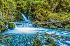 Virgin Creek Falls, Summer Evening