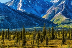 View from Broad Pass