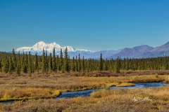 Creek, Mt. Denali and Alaska Range