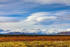 Lenticular Clouds over the Alaska Range