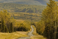 Tanana Road high spot