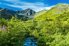 Palmer Creek