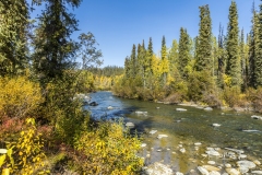 Little Nelchina River