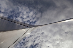 Arch Oblique 4