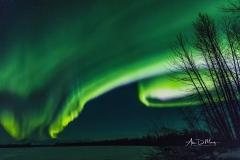 Aurora curls over Talkeetna River