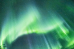 Waves of Aurora