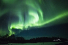 Aurora near Susitna Shores