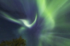 Aurora Corona over head