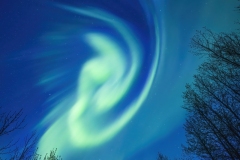 Aurora corona in Curls