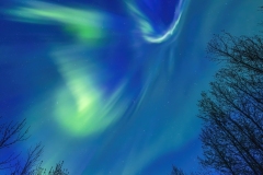 Aurora corona action