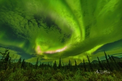 Aurora over mountinas and trees