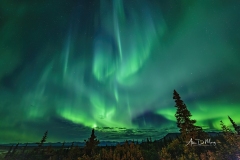 Aurora over Susitna River valley