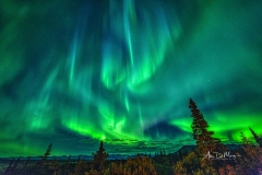 Aurora over Susitna River