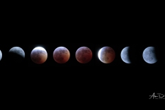 Lunar Eclipse Phases Composite