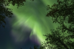 Aurora overhead getting brighter