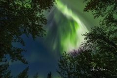 Active aurora borealis overhead