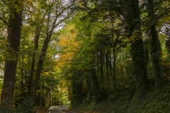 Historic Columbia River Highway