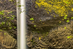 Latourell Falls through the trees