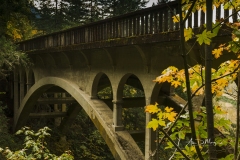 Arched Bridge over Young Creek