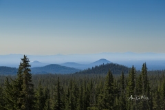 Rolling Hills of Oregon