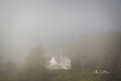Heceta Lighthouse B&B shrouded in fog