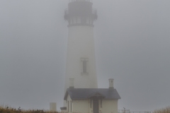 Yaquina Head Lighthouse shrodded in Fog