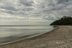 Beach in Northport