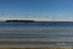 Sailboats at rest