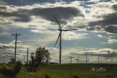 Wind turbines in sunny rural Wisconsin 1
