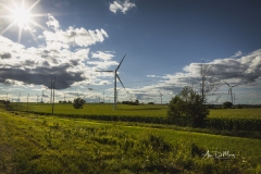 Wind turbines in sunny rural Wisconsin 3